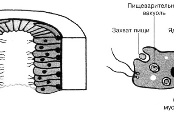 Переход на кракен