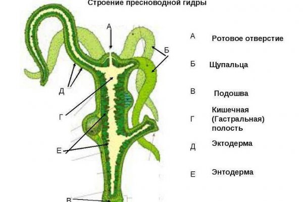 Кракен 17 рабочая ссылка